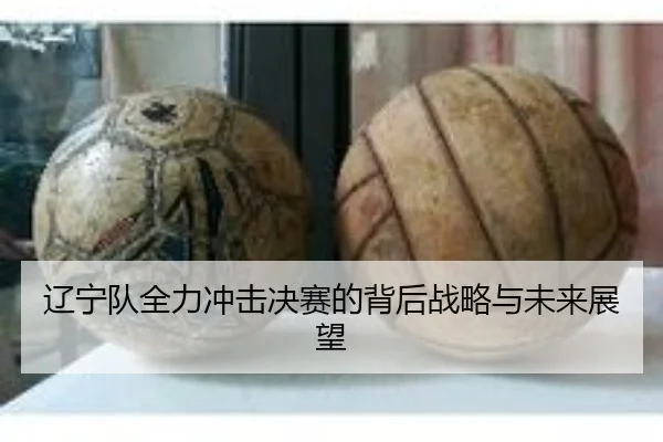 辽宁队全力冲击决赛的背后战略与未来展望