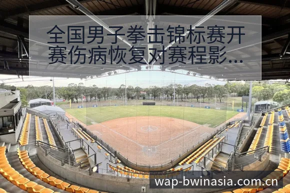 全国男子拳击锦标赛开赛伤病恢复对赛程影响及排名变化分析 - 必赢亚洲官方门户