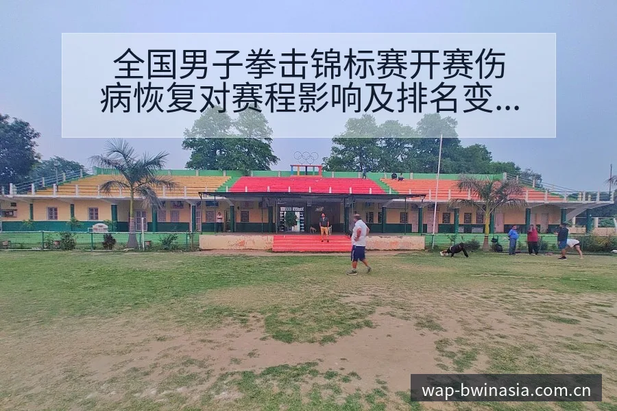 全国男子拳击锦标赛开赛伤病恢复对赛程影响及排名变化分析 - 必赢亚洲官方门户